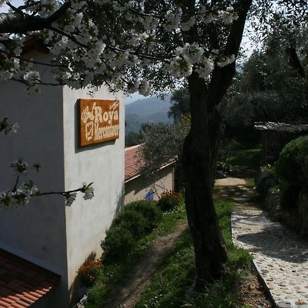 Gite Roya Mercantour Breil-sur-Roya Ngoại thất bức ảnh